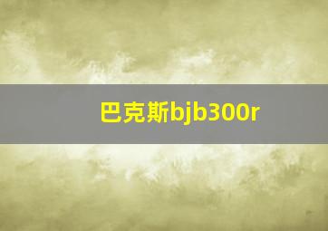 巴克斯bjb300r