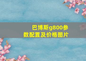 巴博斯g800参数配置及价格图片