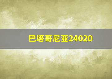 巴塔哥尼亚24020