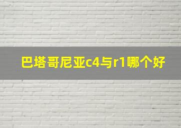 巴塔哥尼亚c4与r1哪个好