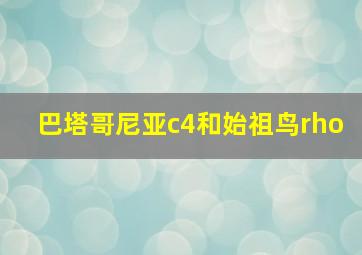 巴塔哥尼亚c4和始祖鸟rho