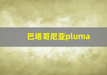 巴塔哥尼亚pluma