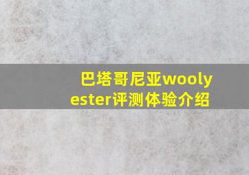 巴塔哥尼亚woolyester评测体验介绍