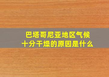 巴塔哥尼亚地区气候十分干燥的原因是什么