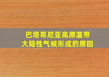 巴塔哥尼亚高原温带大陆性气候形成的原因