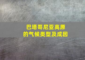 巴塔哥尼亚高原的气候类型及成因