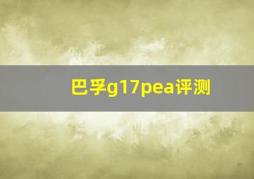 巴孚g17pea评测