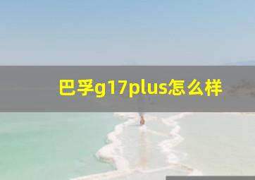 巴孚g17plus怎么样