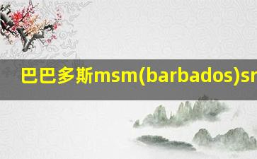 巴巴多斯msm(barbados)srl公司