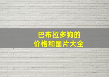 巴布拉多狗的价格和图片大全