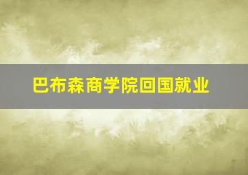 巴布森商学院回国就业