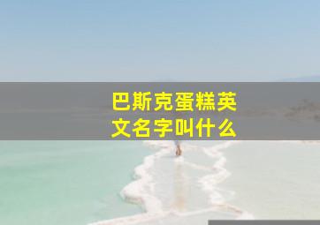 巴斯克蛋糕英文名字叫什么