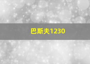 巴斯夫1230