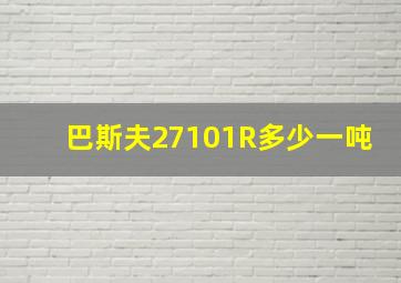 巴斯夫27101R多少一吨