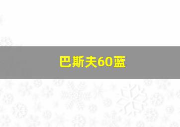 巴斯夫60蓝