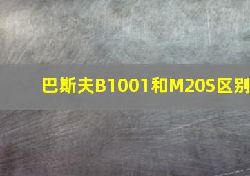 巴斯夫B1001和M20S区别