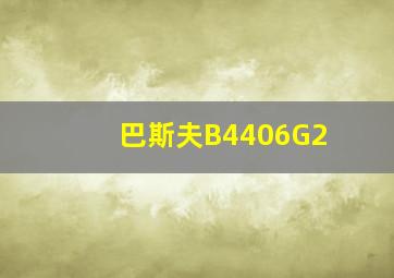 巴斯夫B4406G2