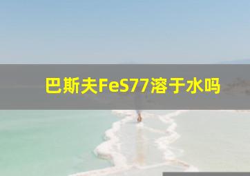 巴斯夫FeS77溶于水吗