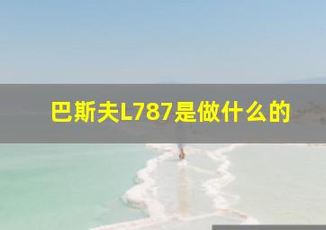 巴斯夫L787是做什么的