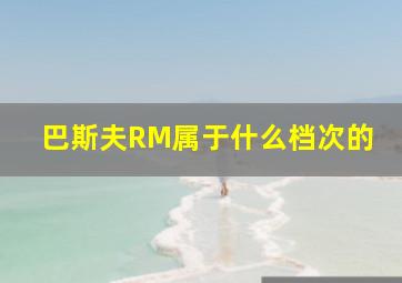 巴斯夫RM属于什么档次的