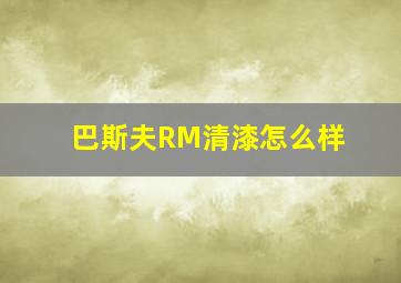 巴斯夫RM清漆怎么样