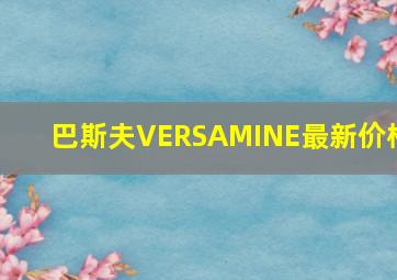 巴斯夫VERSAMINE最新价格