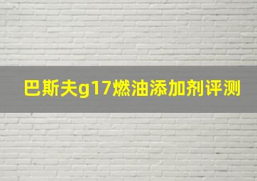 巴斯夫g17燃油添加剂评测