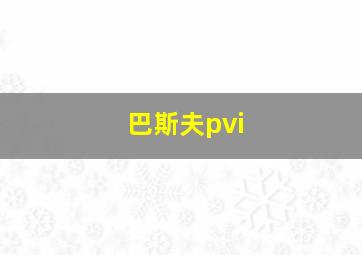 巴斯夫pvi