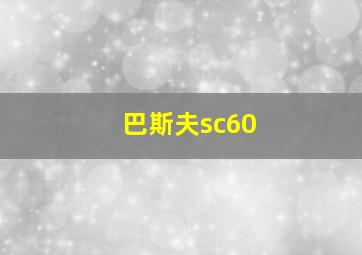 巴斯夫sc60