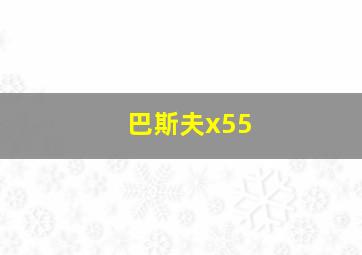 巴斯夫x55