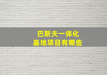 巴斯夫一体化基地项目有哪些