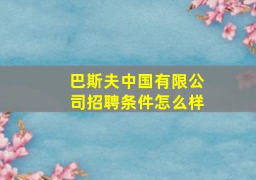 巴斯夫中国有限公司招聘条件怎么样