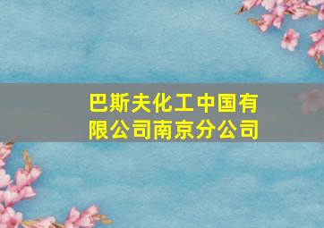 巴斯夫化工中国有限公司南京分公司