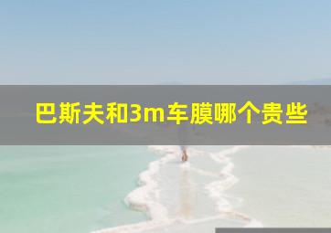 巴斯夫和3m车膜哪个贵些