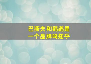 巴斯夫和鹦鹉是一个品牌吗知乎