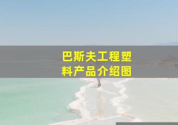 巴斯夫工程塑料产品介绍图