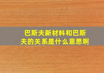 巴斯夫新材料和巴斯夫的关系是什么意思啊