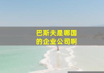 巴斯夫是哪国的企业公司啊