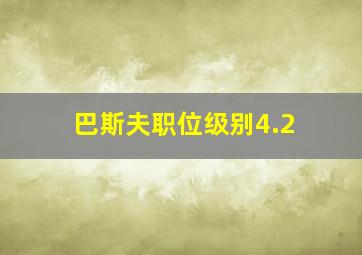 巴斯夫职位级别4.2