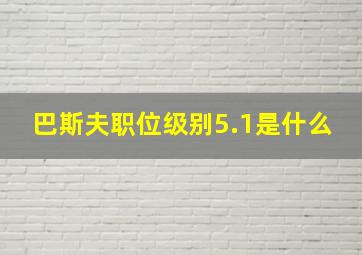 巴斯夫职位级别5.1是什么