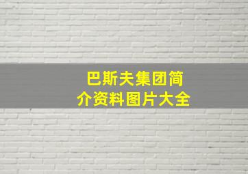 巴斯夫集团简介资料图片大全