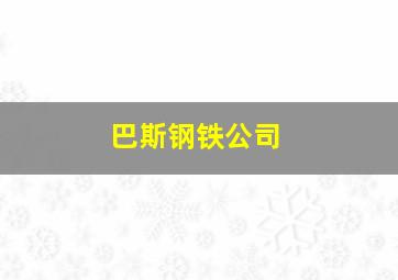 巴斯钢铁公司