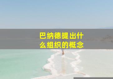 巴纳德提出什么组织的概念