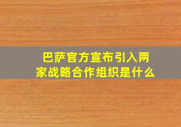 巴萨官方宣布引入两家战略合作组织是什么