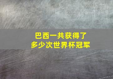 巴西一共获得了多少次世界杯冠军