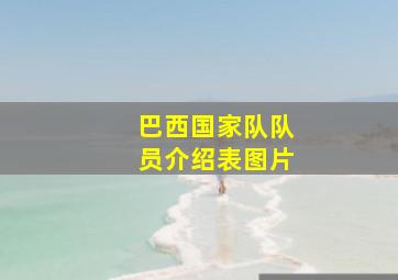 巴西国家队队员介绍表图片