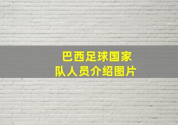 巴西足球国家队人员介绍图片