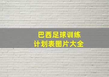 巴西足球训练计划表图片大全