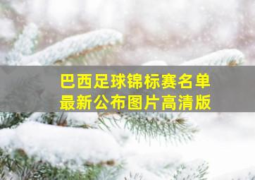 巴西足球锦标赛名单最新公布图片高清版