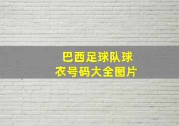 巴西足球队球衣号码大全图片